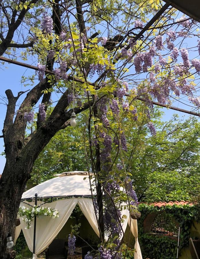 Lux Garden Home D Kumanovo Luaran gambar